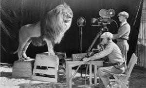 MGM-lion-006