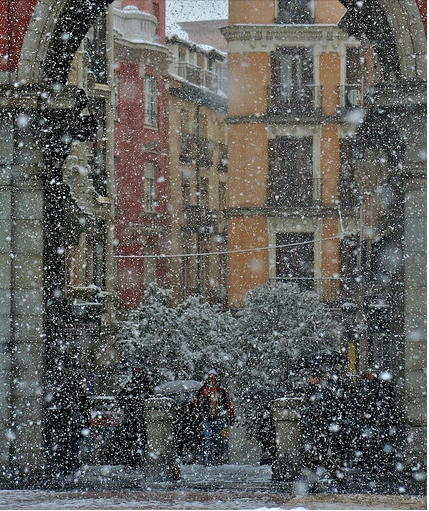 Nevica, e tutto è bianchino