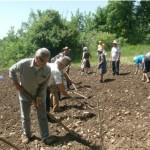 Lavori agricoli