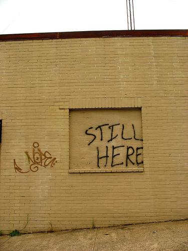 still-here