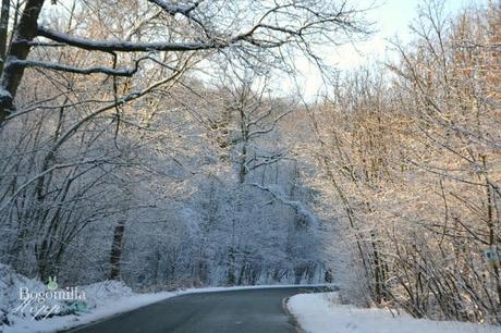 Ode all'inverno che ci sta salutando