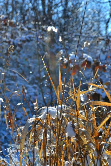 Ode all'inverno che ci sta salutando