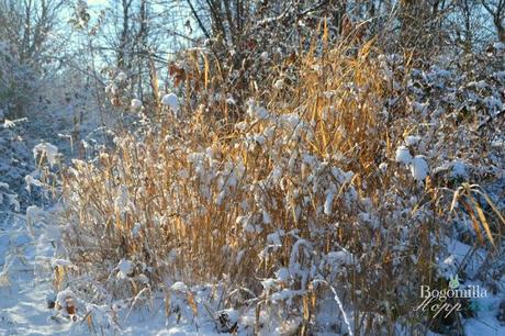 Ode all'inverno che ci sta salutando