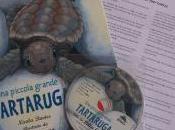 “Una piccola grande tartaruga”: libro raccontare misterioso viaggio delle Caretta caretta