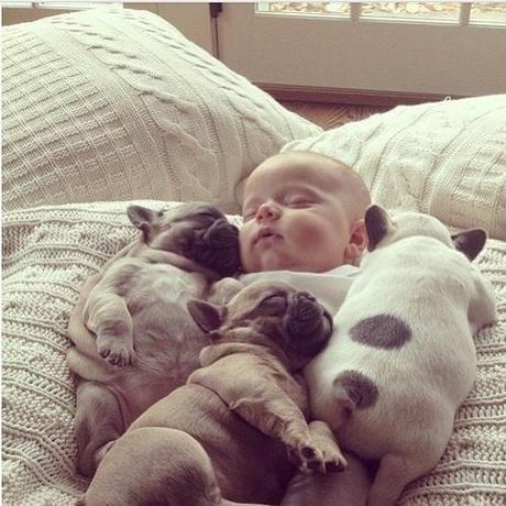 baby and puppy