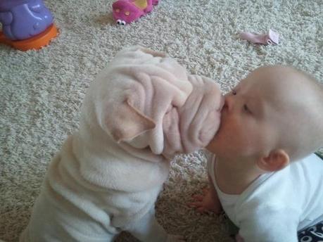 baby and puppy