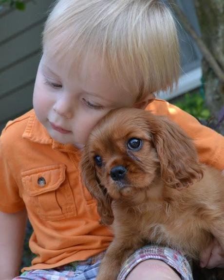 baby and puppy