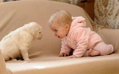 baby and puppy