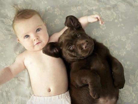 baby and puppy