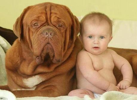 baby and puppy