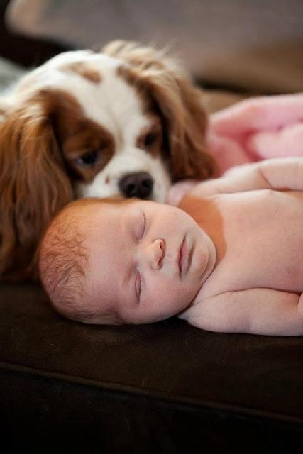 baby and puppy