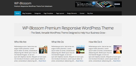 Blossom by studiopress wordpress theme per la tua azienda