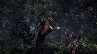 The Witcher 3 : nuove immagini gameplay(?)