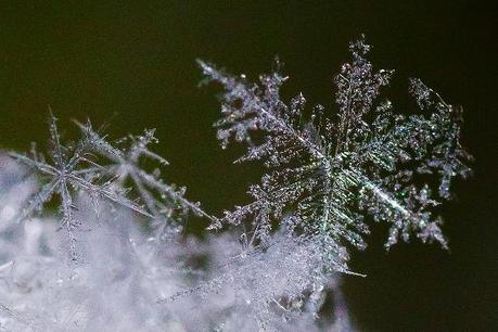 024 L’artistica geometria dei cristalli di neve: di Marco Bizzarri e Paola Pardini