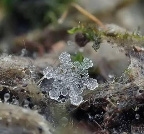 027 L’artistica geometria dei cristalli di neve: di Marco Bizzarri e Paola Pardini