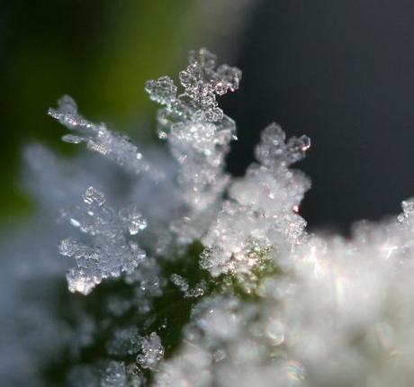 0011 L’artistica geometria dei cristalli di neve: di Marco Bizzarri e Paola Pardini