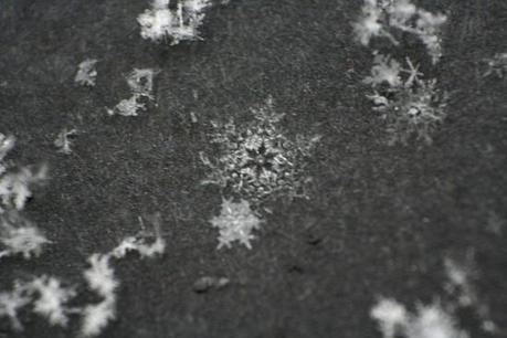 0171 L’artistica geometria dei cristalli di neve: di Marco Bizzarri e Paola Pardini