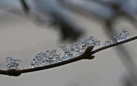 00611 L’artistica geometria dei cristalli di neve: di Marco Bizzarri e Paola Pardini