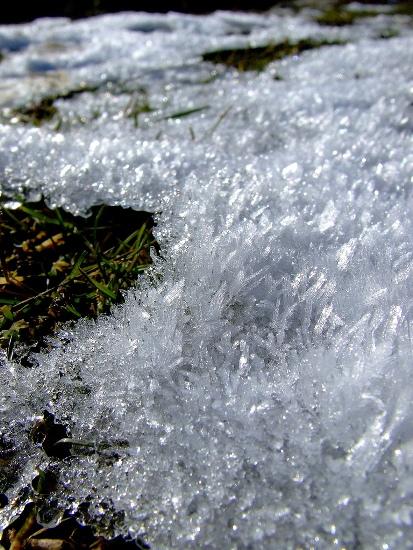 01311 L’artistica geometria dei cristalli di neve: di Marco Bizzarri e Paola Pardini