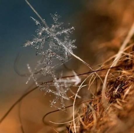 026 L’artistica geometria dei cristalli di neve: di Marco Bizzarri e Paola Pardini