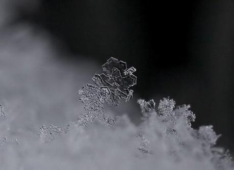 00211 L’artistica geometria dei cristalli di neve: di Marco Bizzarri e Paola Pardini