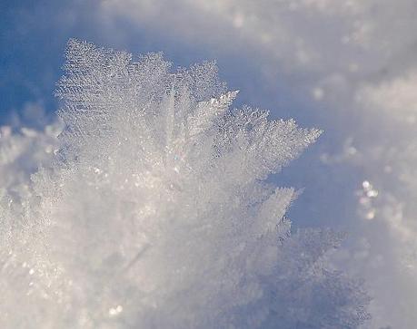 023 L’artistica geometria dei cristalli di neve: di Marco Bizzarri e Paola Pardini