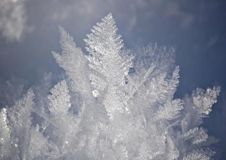 0181 L’artistica geometria dei cristalli di neve: di Marco Bizzarri e Paola Pardini