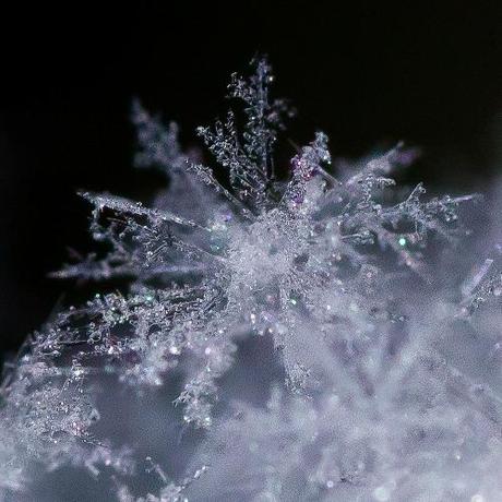 025 L’artistica geometria dei cristalli di neve: di Marco Bizzarri e Paola Pardini