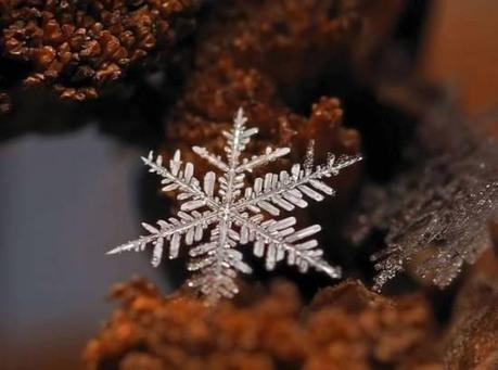 029 L’artistica geometria dei cristalli di neve: di Marco Bizzarri e Paola Pardini