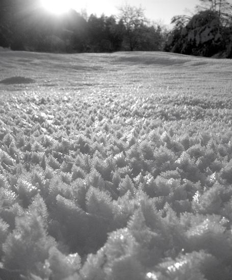 0031 L’artistica geometria dei cristalli di neve: di Marco Bizzarri e Paola Pardini