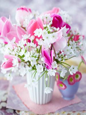 Fiori in Vaso per una Desiderata Primavera