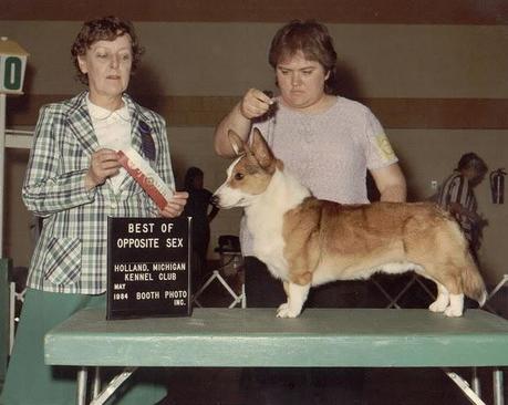 Dogshow!