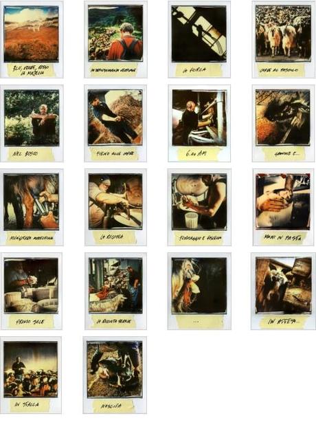 Lettura Portfolio di Marzo 2013