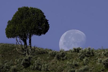 0112 Un dolce velo di luce nell’oscurità: di Marco Bizzarri e Paola Pardini