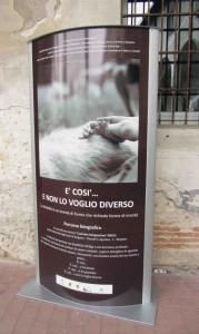 “È così… e non lo voglio diverso”, percorso di sensibilizzazione alla disabilità, dal 23 febbraio al 19 aprile, Bergamo