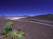 Salar Uyuni, deserto sale grande mondo