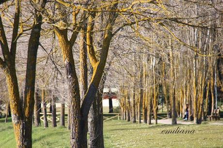 Un acconto di primavera