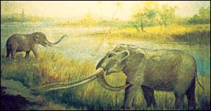 Attività all'aria aperta: Alba sotterranea