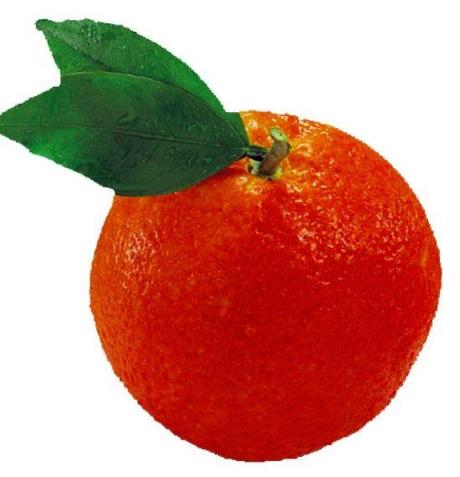 Come promuovere al meglio la pallanuoto con ... un'arancia nella borsa!