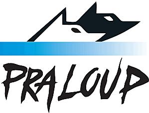 logo pra loup