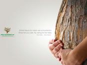 World Enviroment Day: Tree
