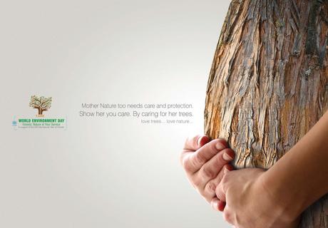 World Environment Day: Tree