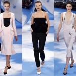 Christian Dior autunno inverno 2013-14 04