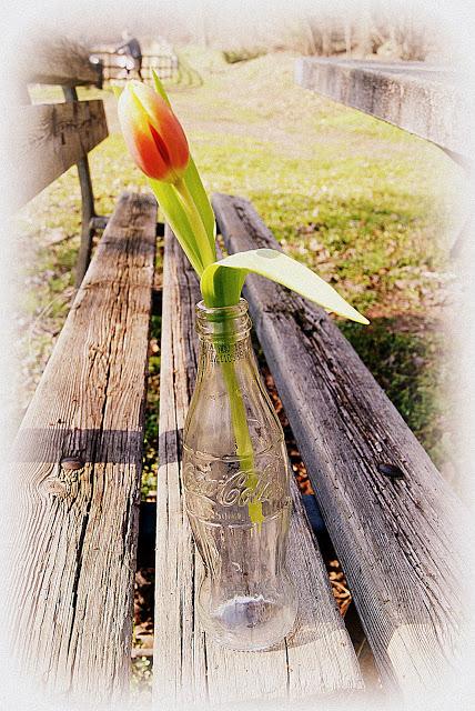 CORSI, PROGETTI E... FINALMENTE PRIMAVERA!!!