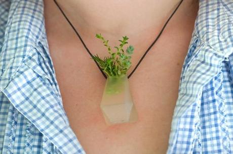 Wearable Planter No. 3, Translucent