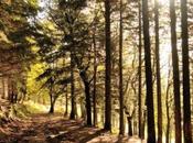 paradiso dietro casa: parchi dell’Appennino Tosco-Emiliano