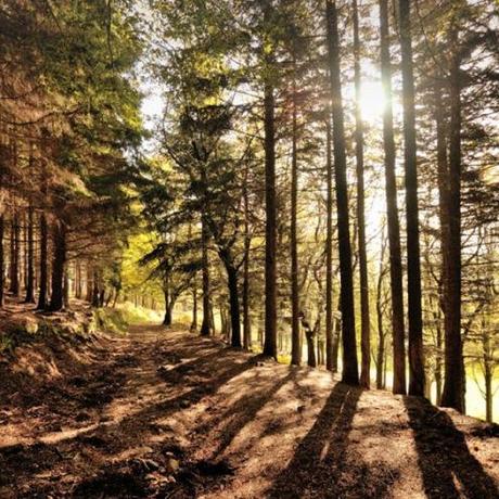 Il paradiso dietro casa: i parchi dell’Appennino Tosco-Emiliano