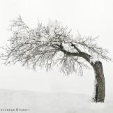 Il paradiso dietro casa: i parchi dell’Appennino Tosco-Emiliano