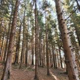 Il paradiso dietro casa: i parchi dell’Appennino Tosco-Emiliano