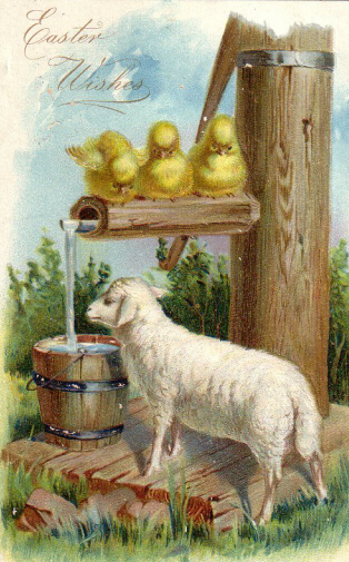 AUGURI DI PASQUA - cartoline